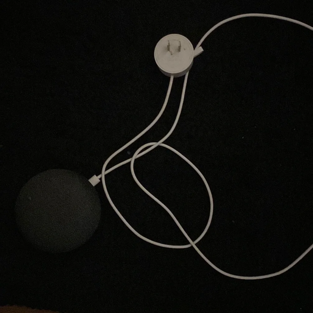 Google home mini